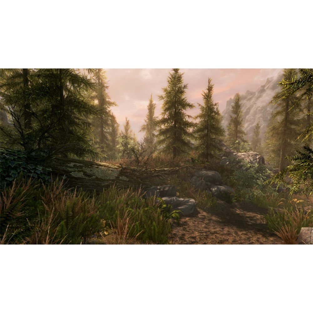 Alt View 13. Bethesda - The Elder Scrolls V: Skyrim.