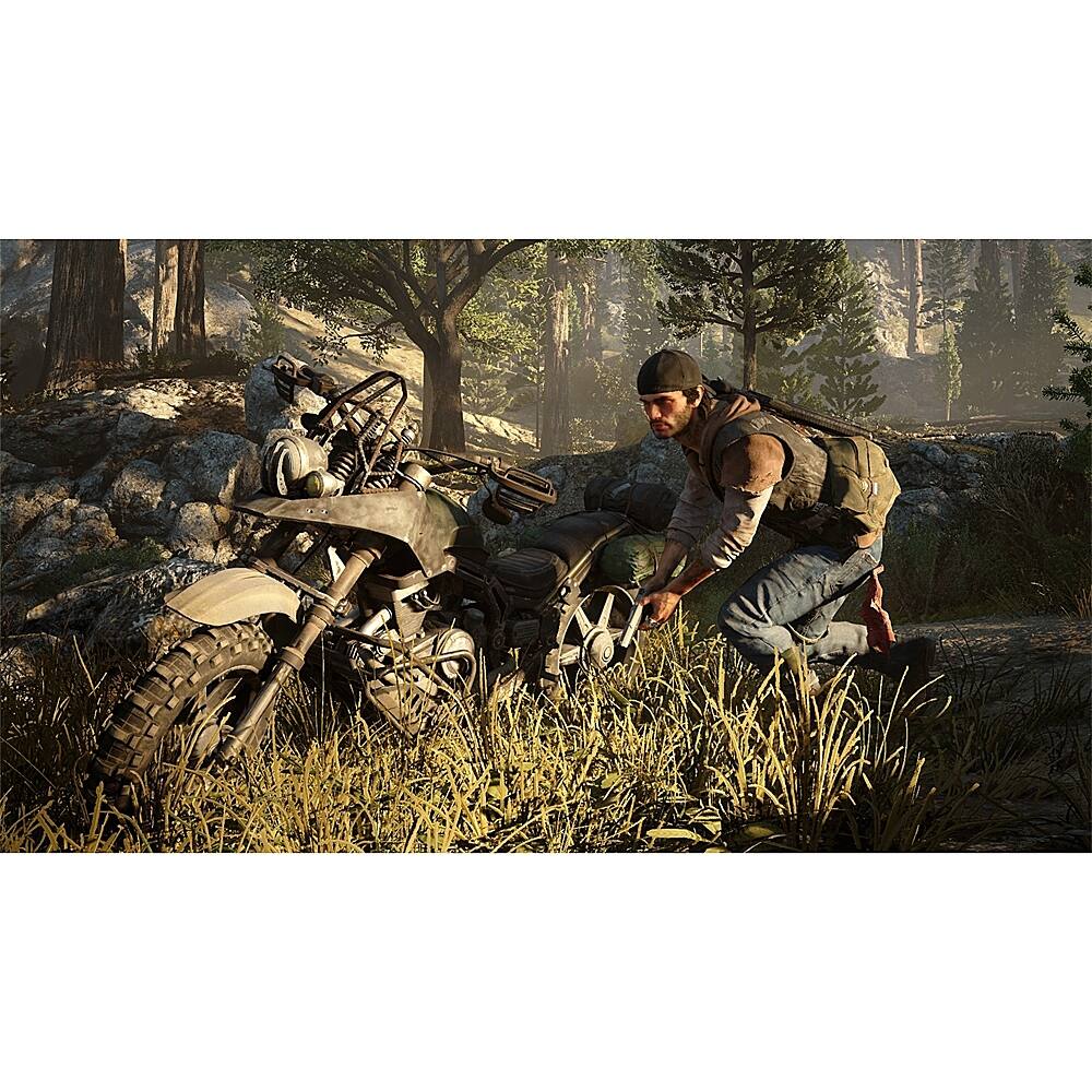 Alt View 17. Sony - Days Gone.