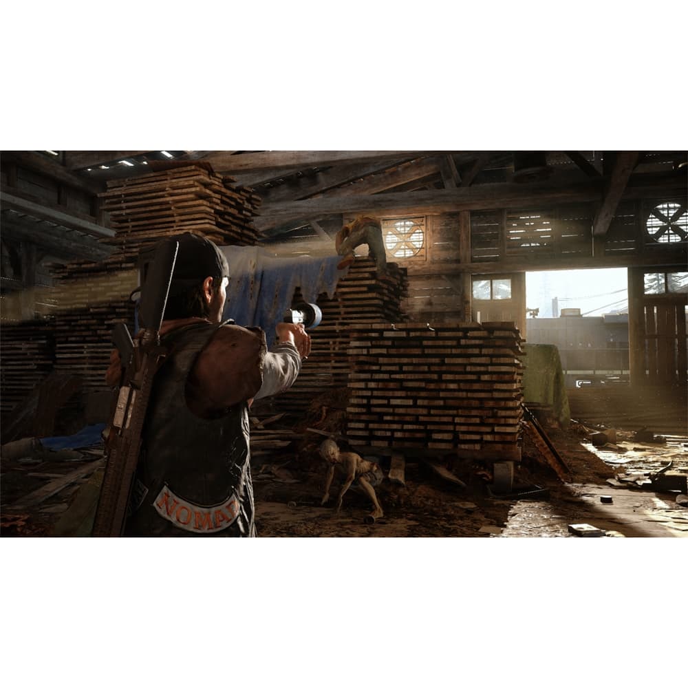 Alt View 18. Sony - Days Gone.