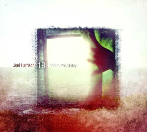 Joel Harrison 19 - Infinite Possibility   - COMPACT DISCS [CD] price history on PriceWatchPro