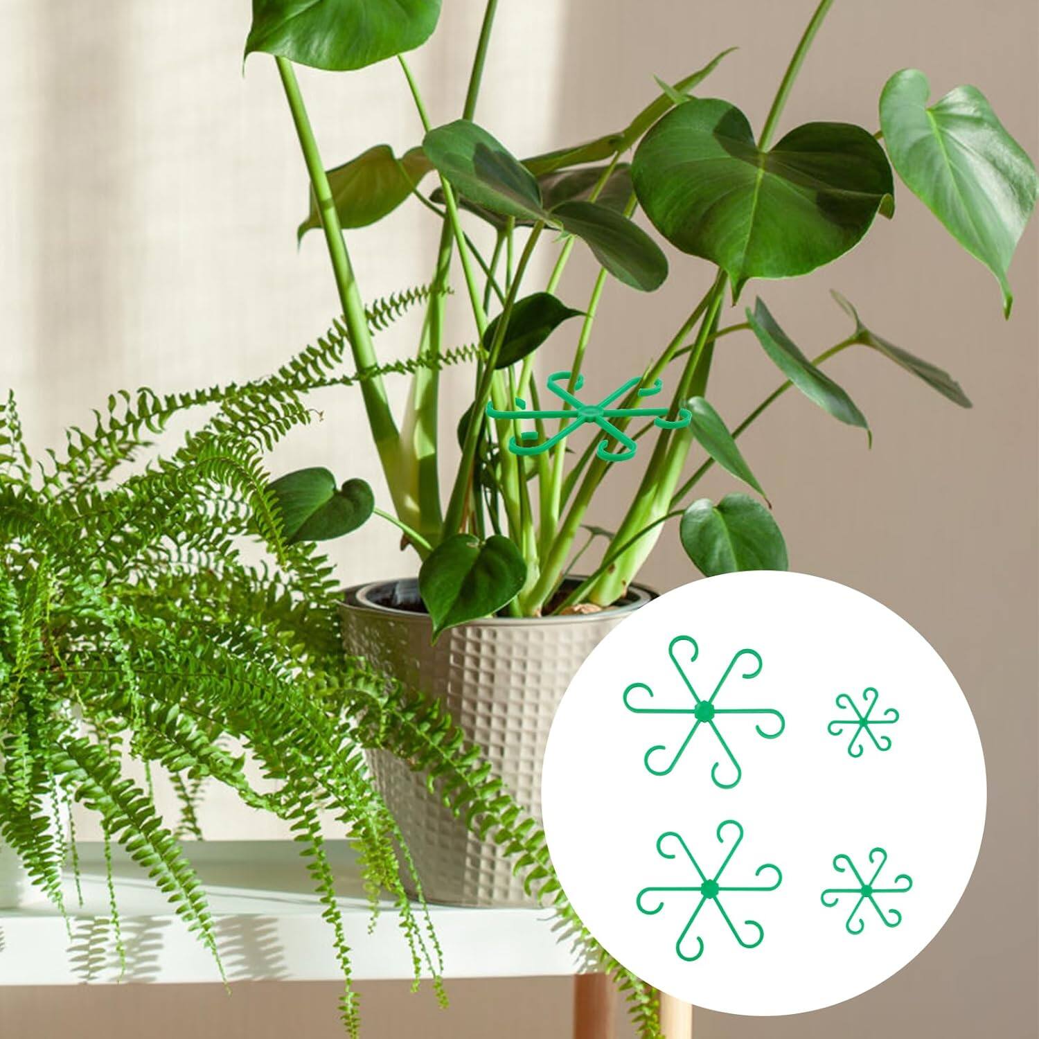 Auledio 4 Pack Climbing Indoor Plant Stem Stands, Plastic Plant Climber ...