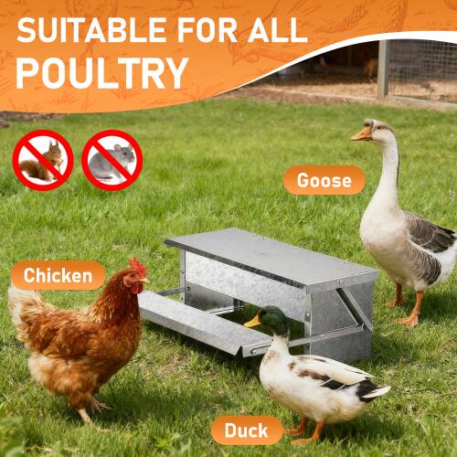 SUITABLE FOR ALL POULTRY

Goose  
Chicken  
Duck