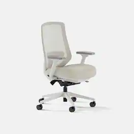 Branch Furniture - Ergonomic Chair Pro - Mesh / White / Shore