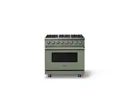 Viking - 36 in. Wide 6 Burner Pro5S 5.6 Cu. Ft. Freestanding Sealed Dual Fuel Convection Range - Eucalyptus - Eucalyptus