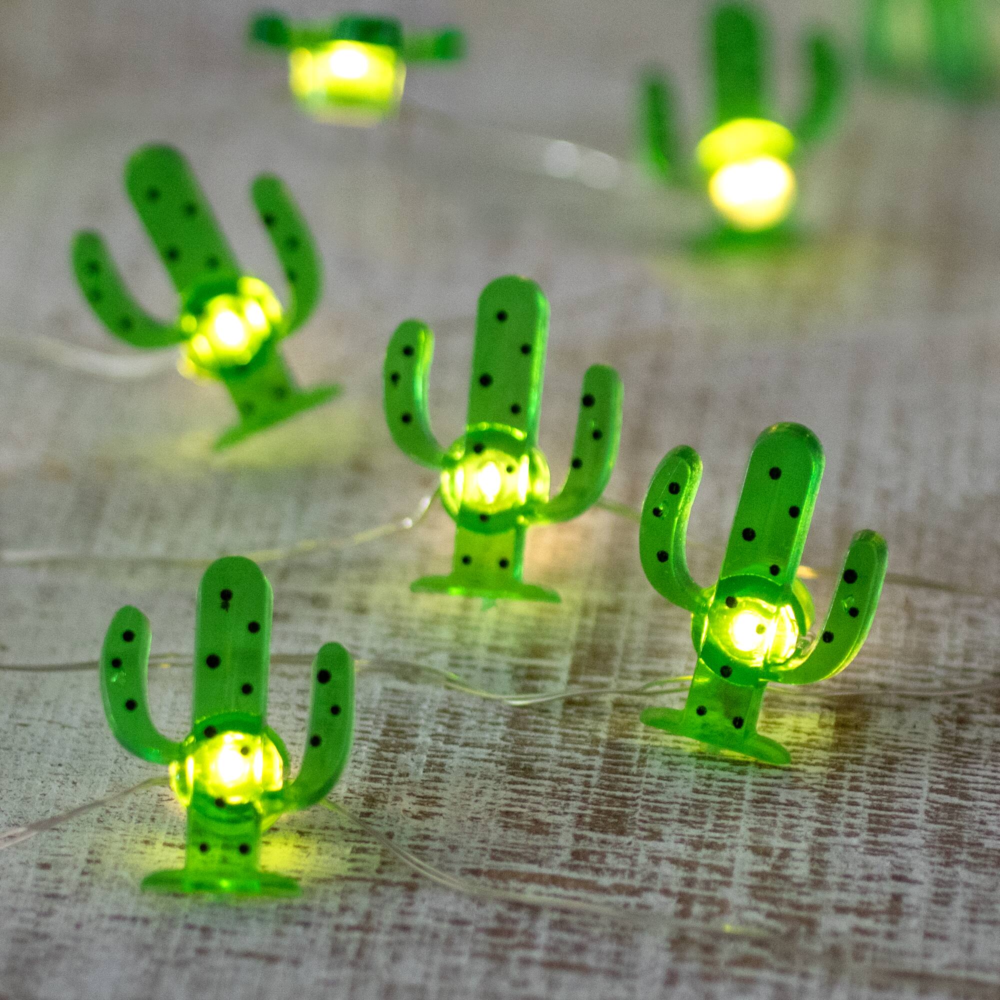 Northlight LED Cactus Fairy Lights Warm White 2.75' Silver Wire 10ct ...