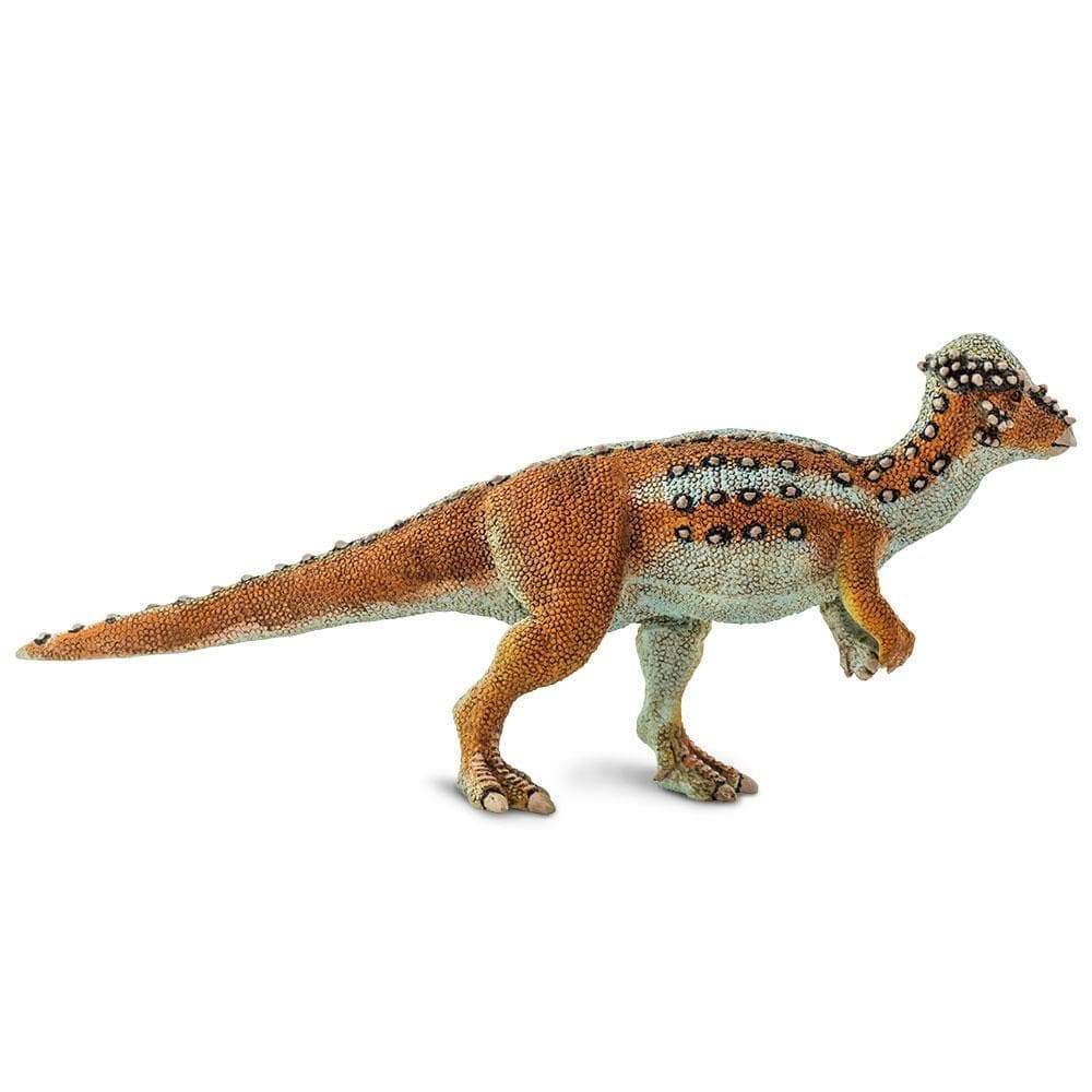 Alt View 2. Safari Ltd. - Pachycephalosaurus.
