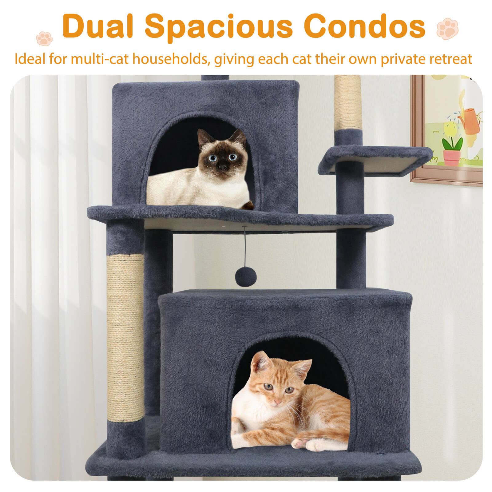 Dual Spacious Condos  
Ideal for multi-cat households, giving each cat their own private retreat
