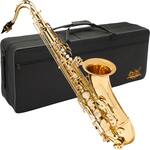 Best Buy Jean Paul Student Tenor Sax TS 400