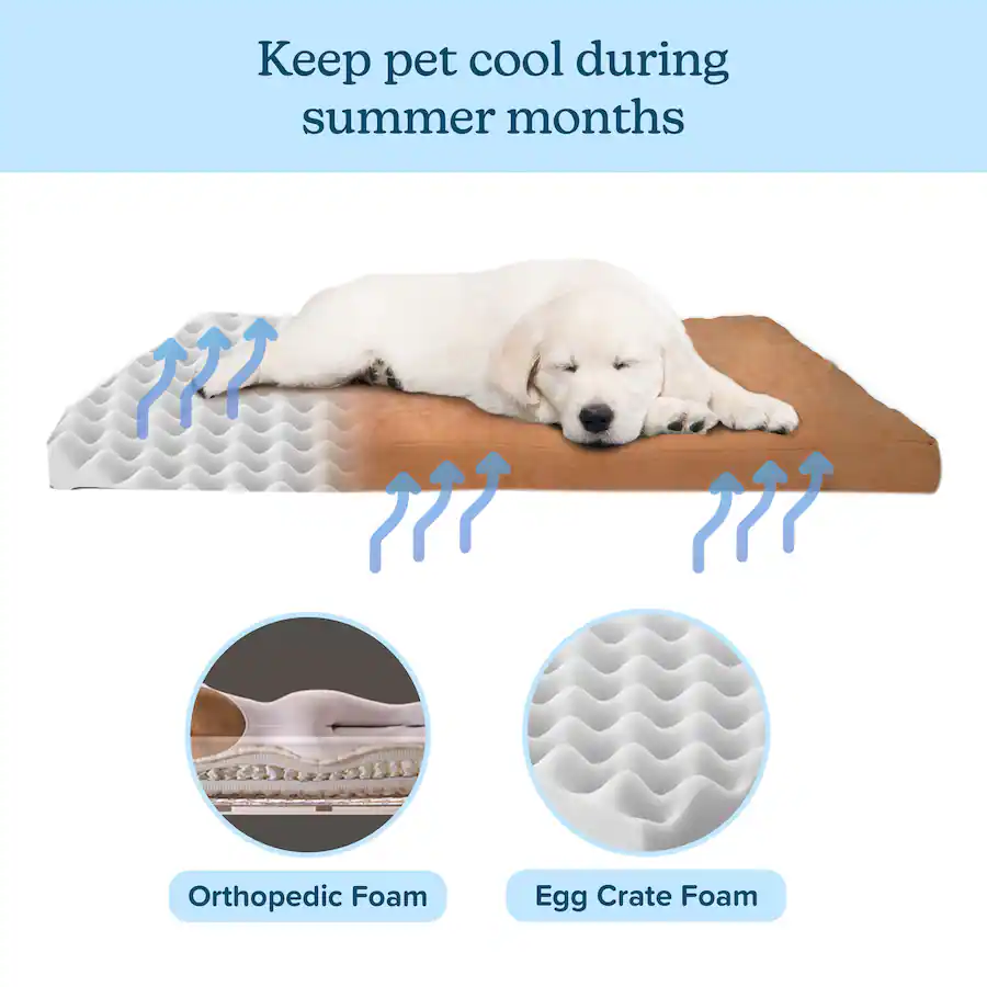PetMaker Dog Bed with Removable Cover 36x27 Pet Bed 3 Inch Egg Crate ...