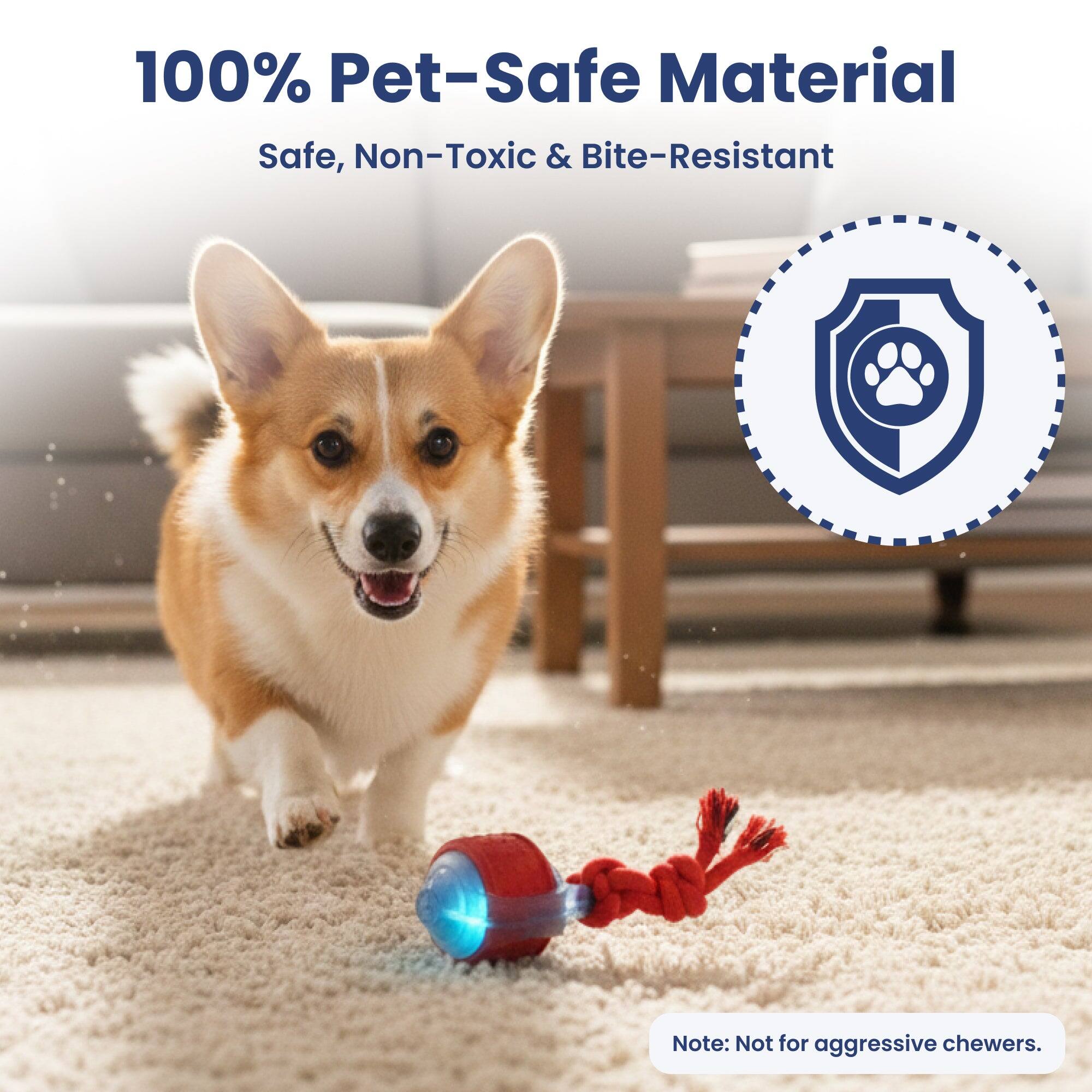 100% Pet-Safe Material  
Safe, Non-Toxic & Bite-Resistant  
Note: Not for aggressive chewers.