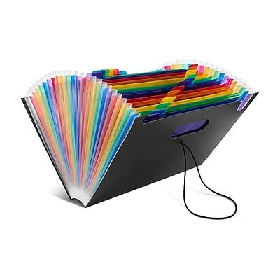 Staples - Plastic Accordion File, 25-Pocket, Letter Size, (TR45523) - Multicolor