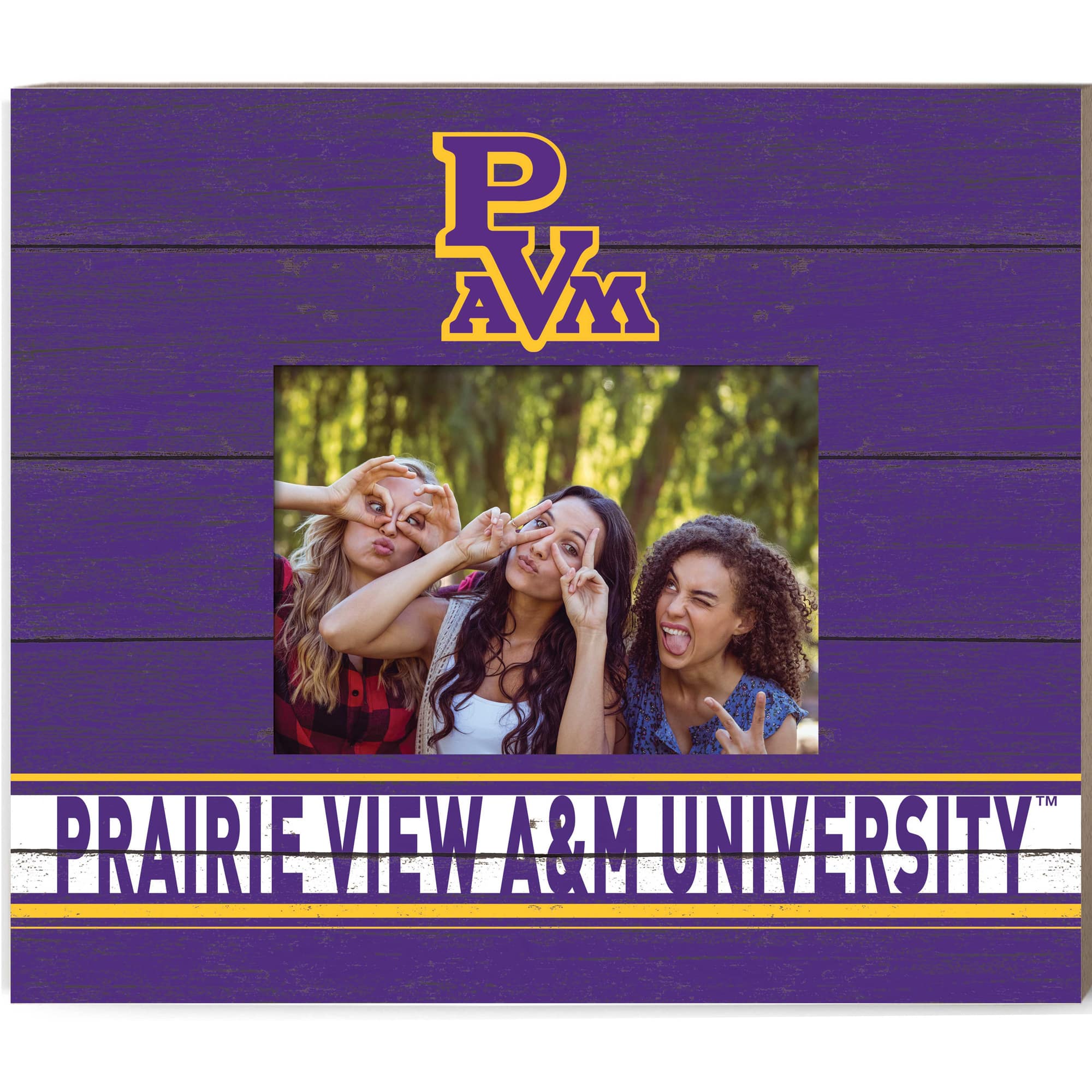 Jardine - Prairie View A&M Panthers 11'' x 13'' Team Spirit Scholastic Picture Frame - Purple price history on PriceWatchPro