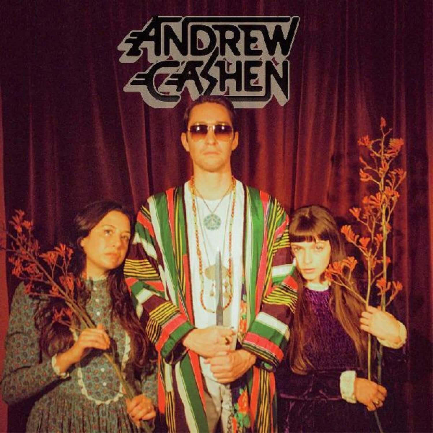 Andrew Cashen - The Cosmic Silence   - VINYL LP price history on PriceWatchPro