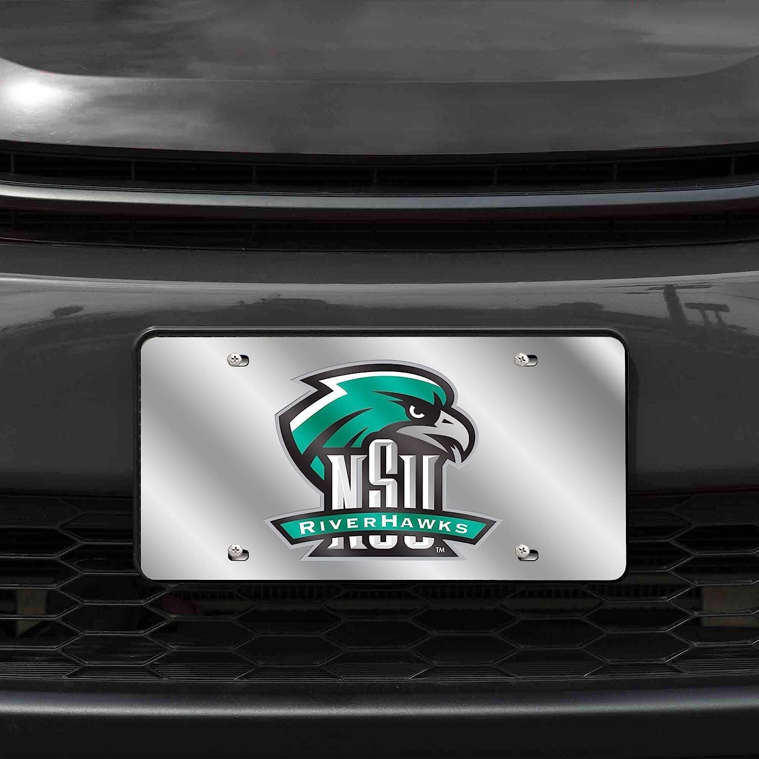 NSIT  
RIVERHAWKS  
AUU