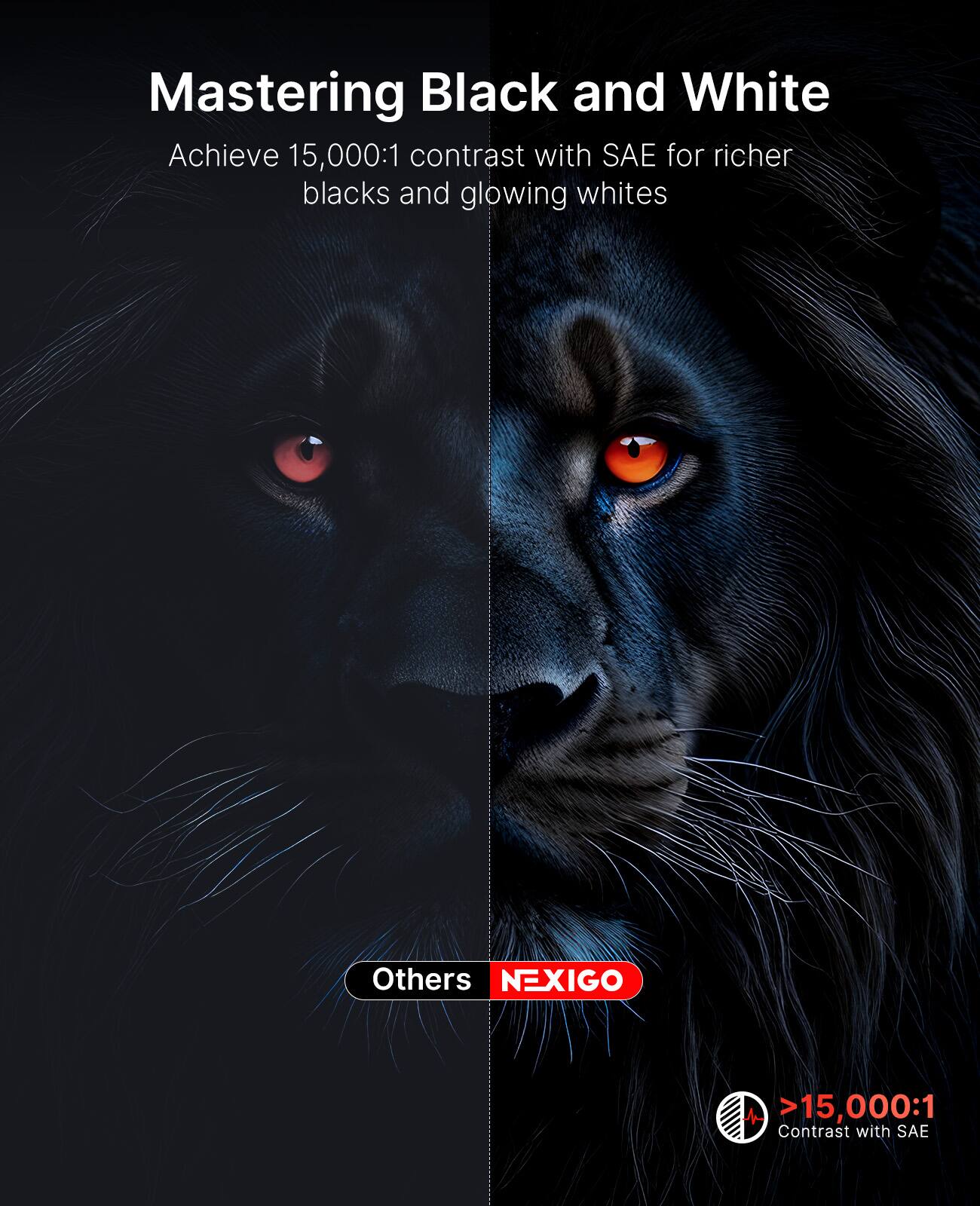 Mastering Black and White

Achieve 15,000:1 contrast with SAE for richer blacks and glowing whites

Others

NEXIGO

>15,000:1 Contrast with SAE