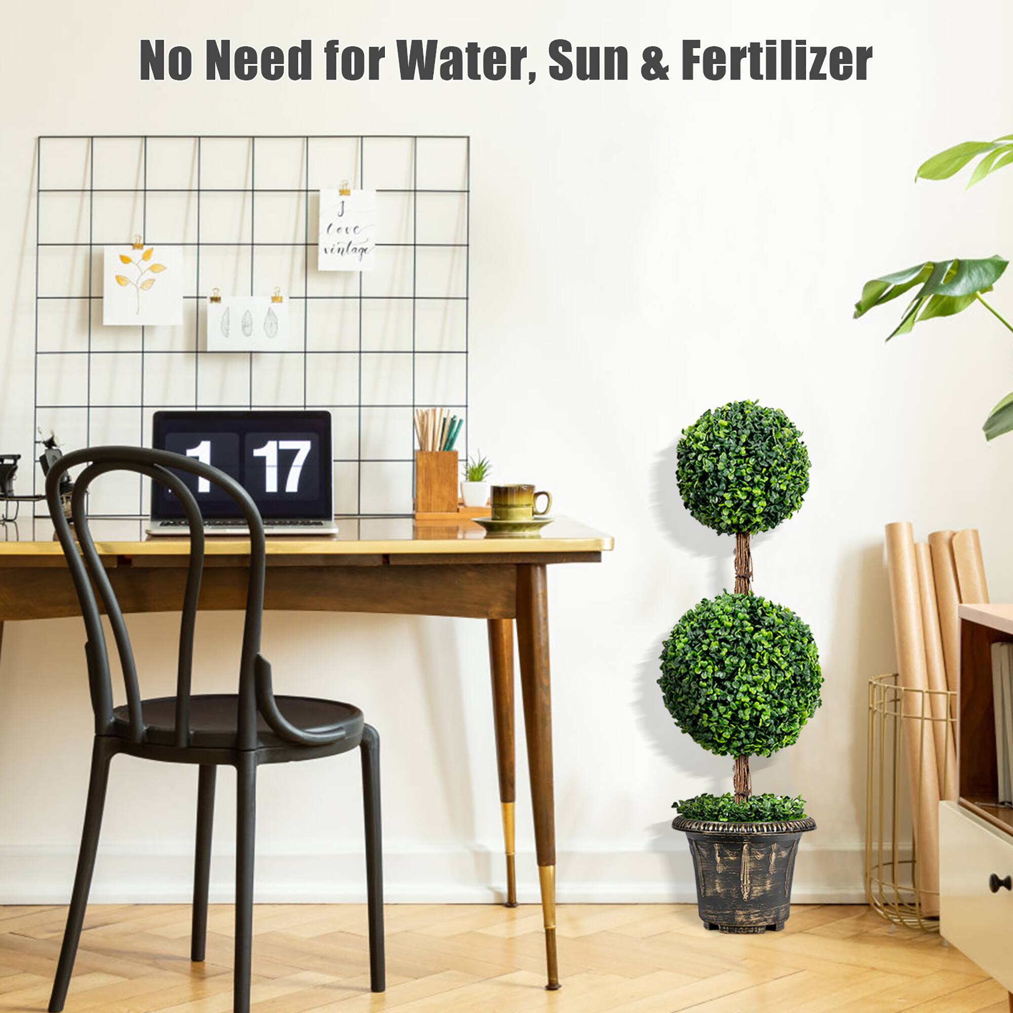 No Need for Water, Sun & Fertilizer