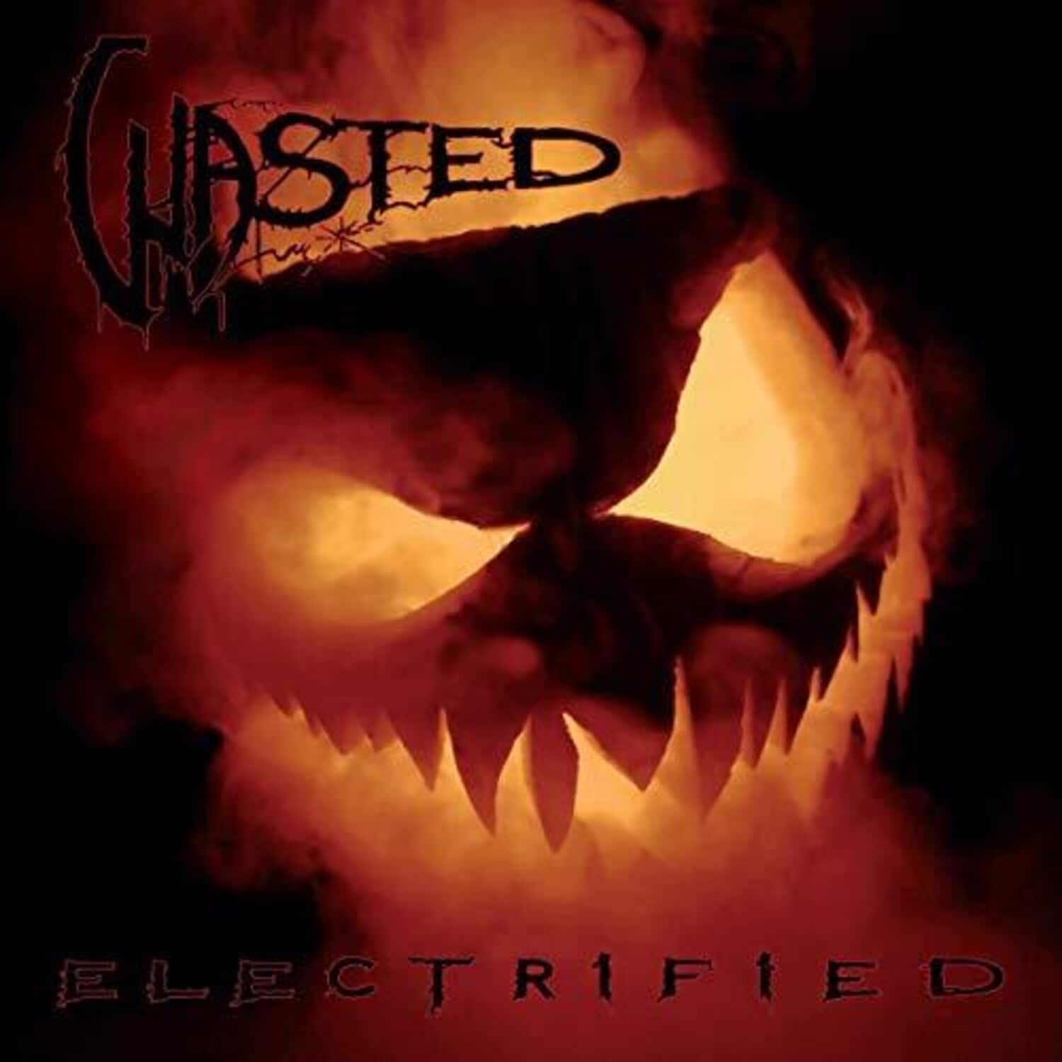 Wasted - Electrified   - COMPACT DISCS [CD] price history on PriceWatchPro