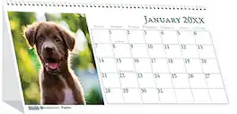 2026 House of Doolittle Earthscapes Puppy 8.5" x 4.25" Monthly Desktop Tent Calendar (3659-26) - Multicolor
