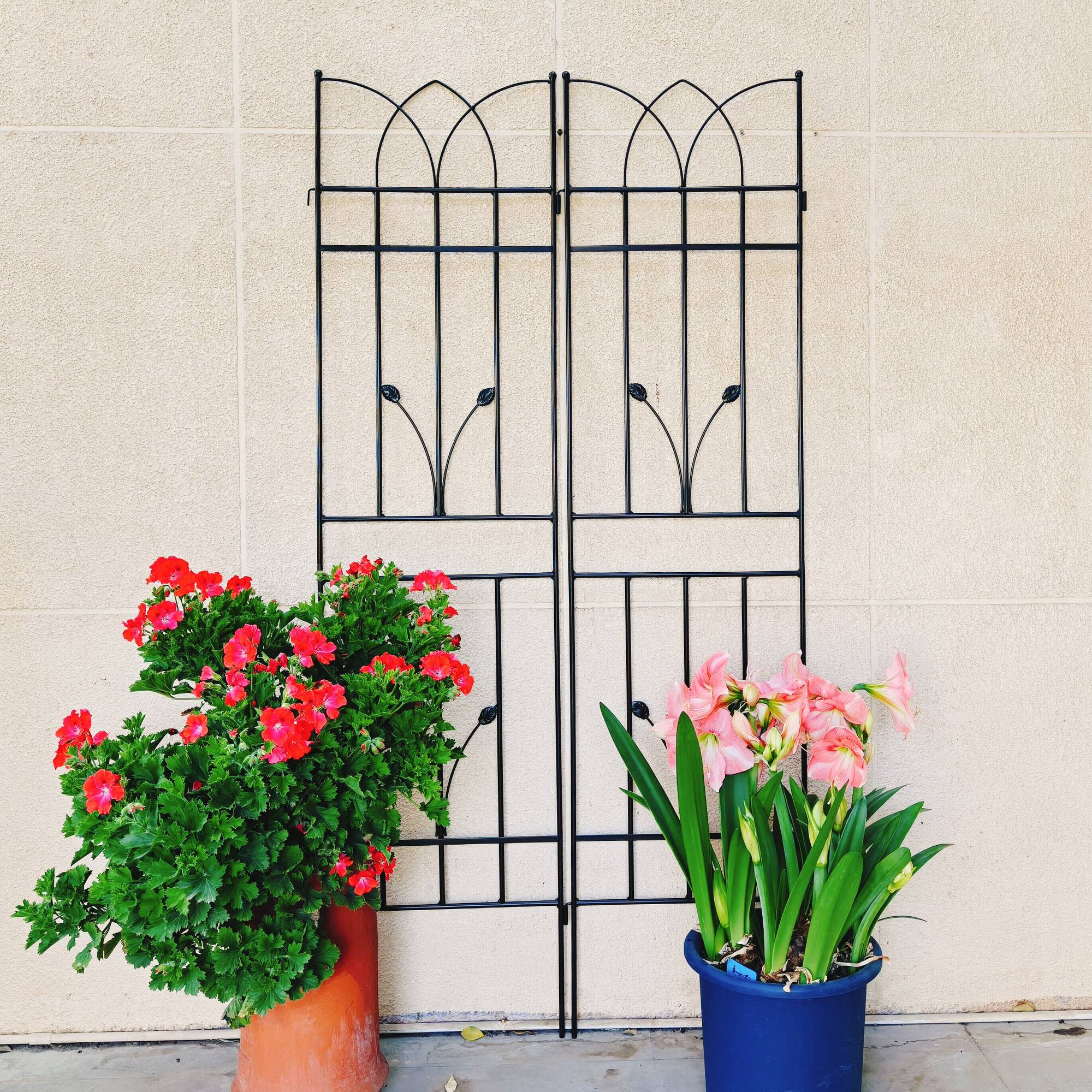 Left. Loheer - 4 Pack Rustproof Metal Garden Trellis 5.9 ft x 1.48 ft for Climbing Plants Outdoor Flower Support.