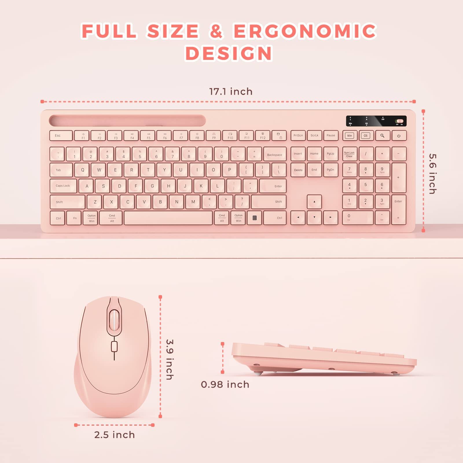 FULL SIZE & ERGONOMIC DESIGN

17.1 inch

5.6 inch

3.9 inch

0.98 inch

2.5 inch