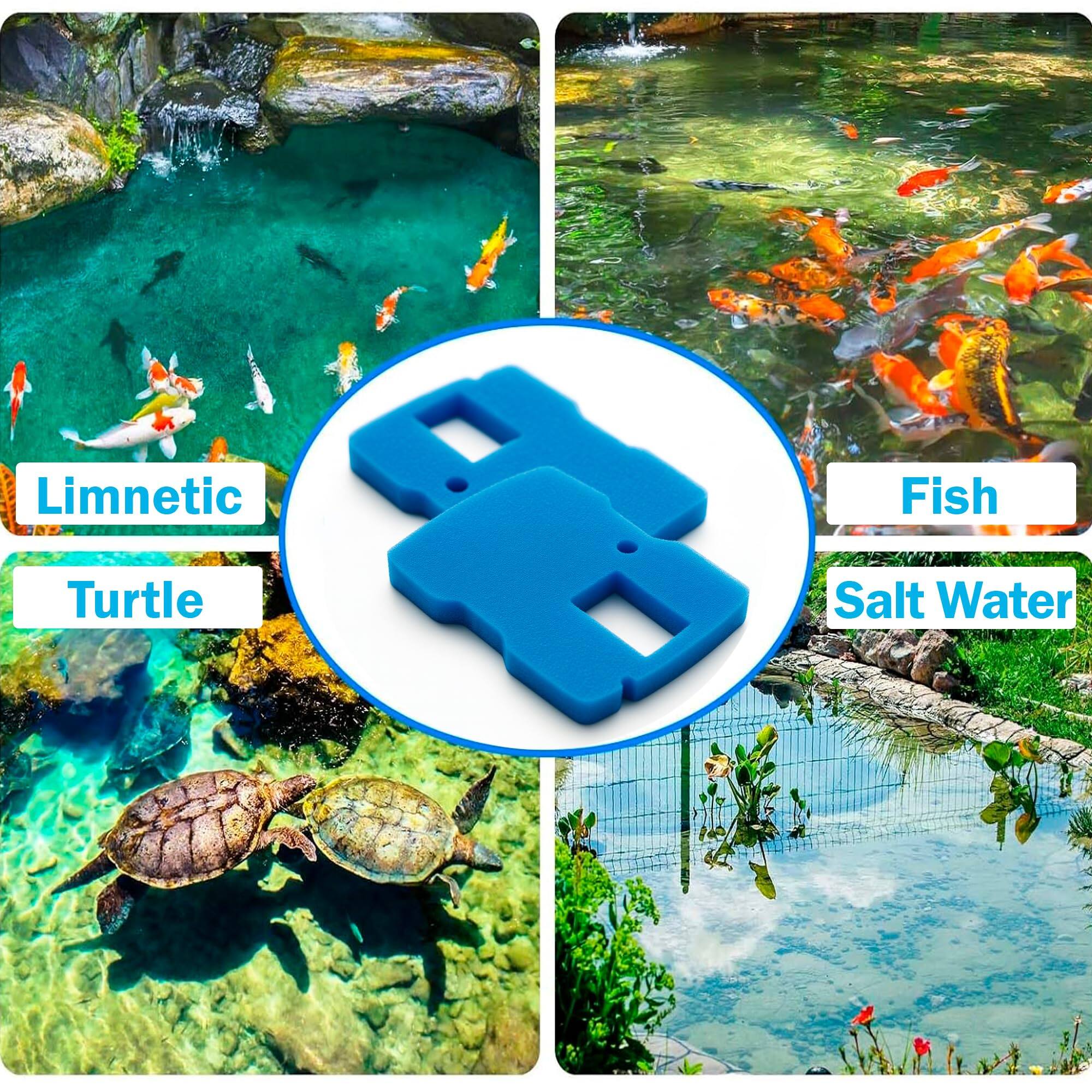 Limnetic  
Fish  
Turtle  
Salt Water