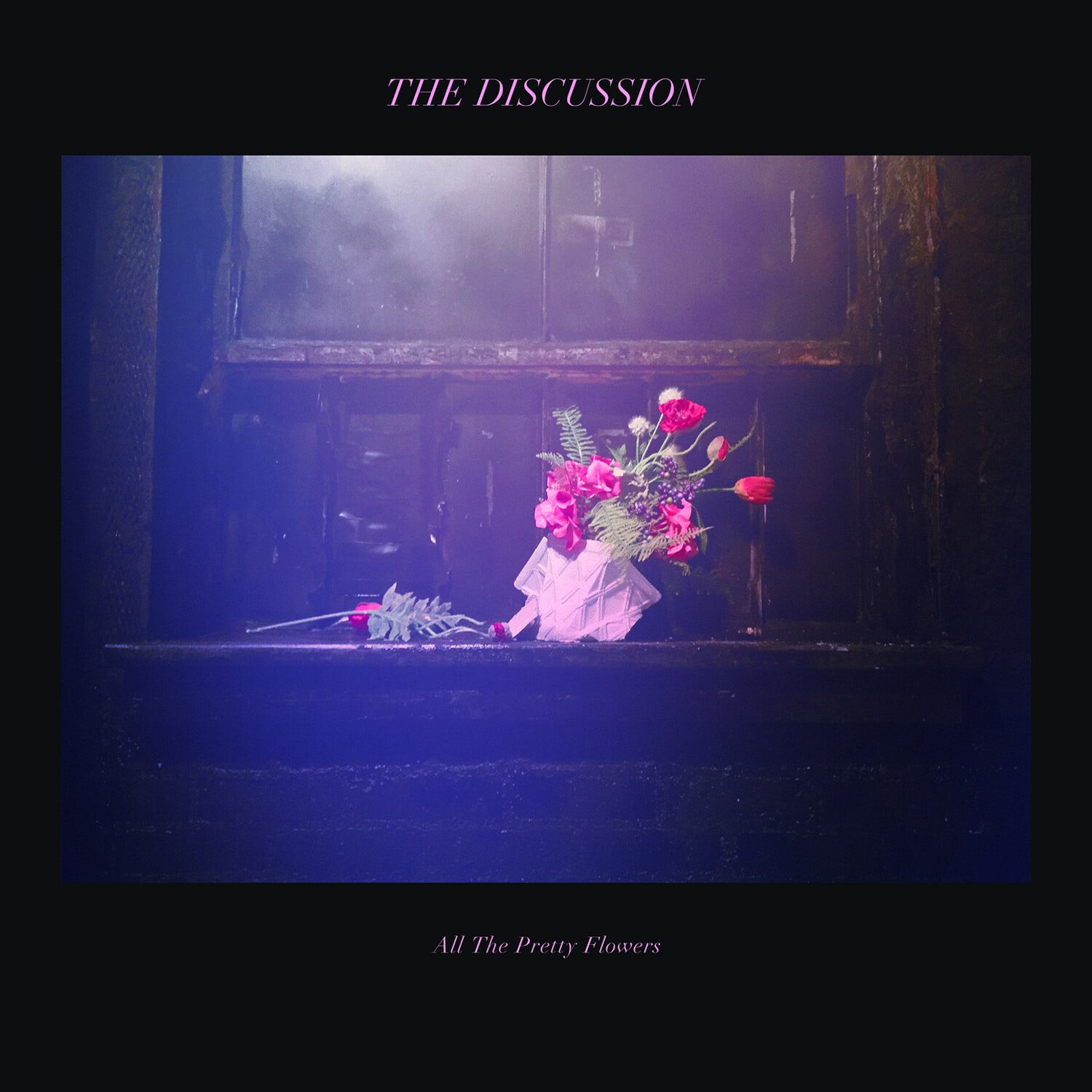 Discussion - All The Pretty Flowers  - COMPACT DISCS