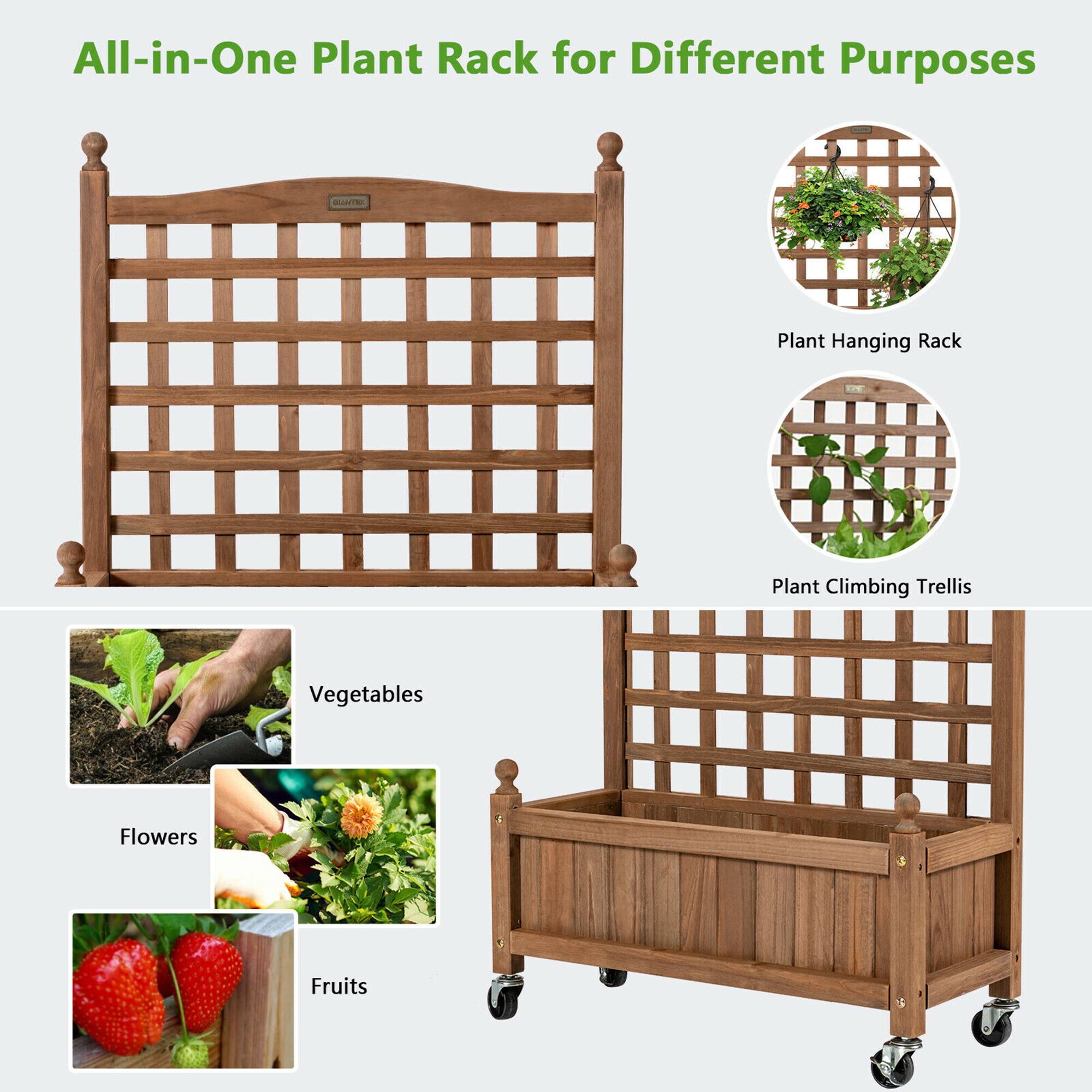 All-in-One Plant Rack for Different Purposes

- Plant Hanging Rack
- Plant Climbing Trellis

- Vegetables
- Flowers
- Fruits