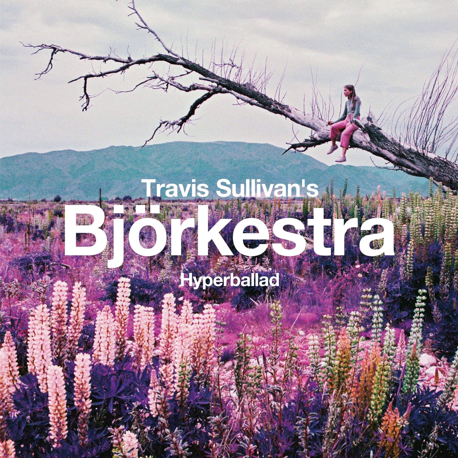 Travis Sullivan's Bjorkestra - Hyperballad / Venus As A Boy  - 12-INCH SINGLE