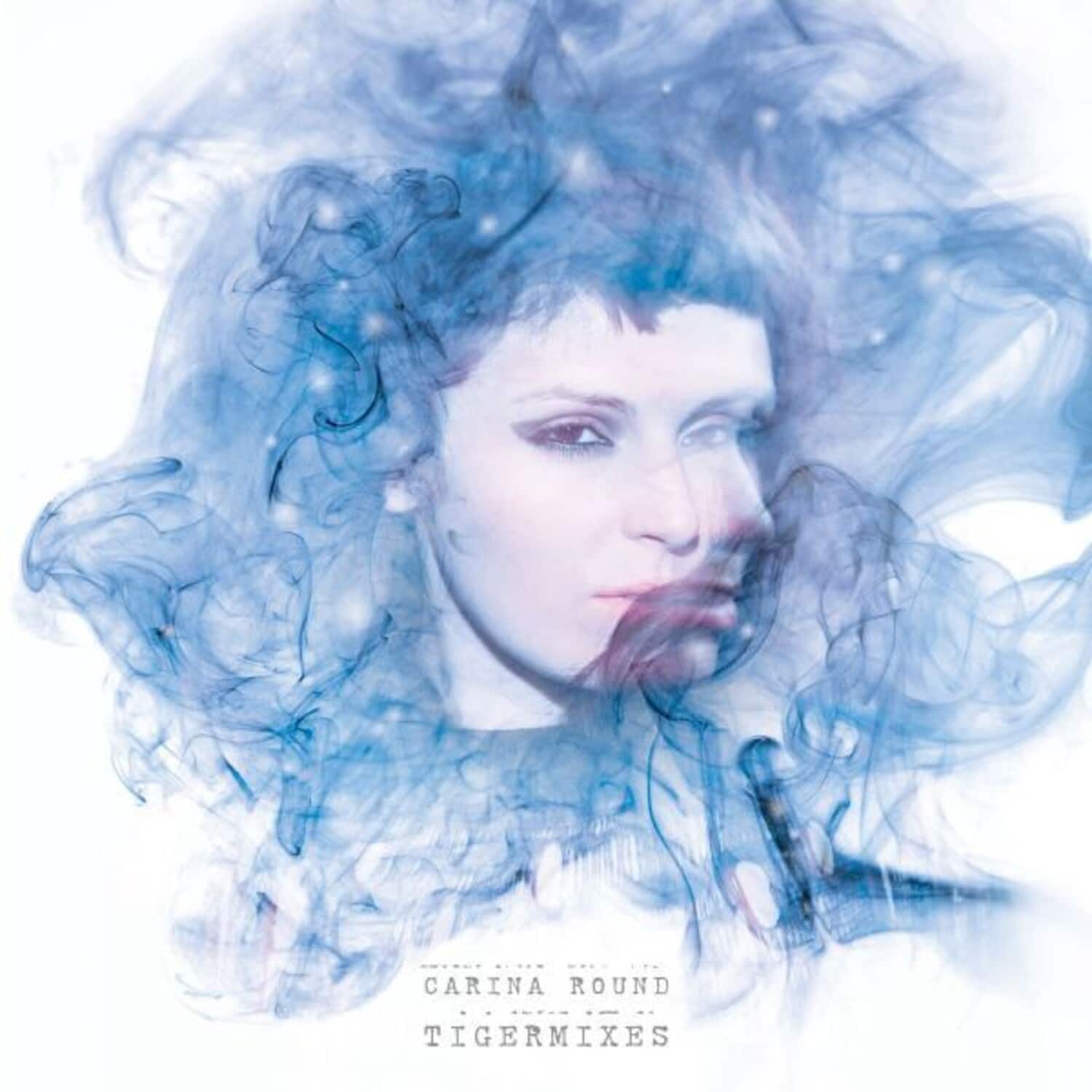 Carina Round - Tigermixes   - VINYL LP price history on PriceWatchPro