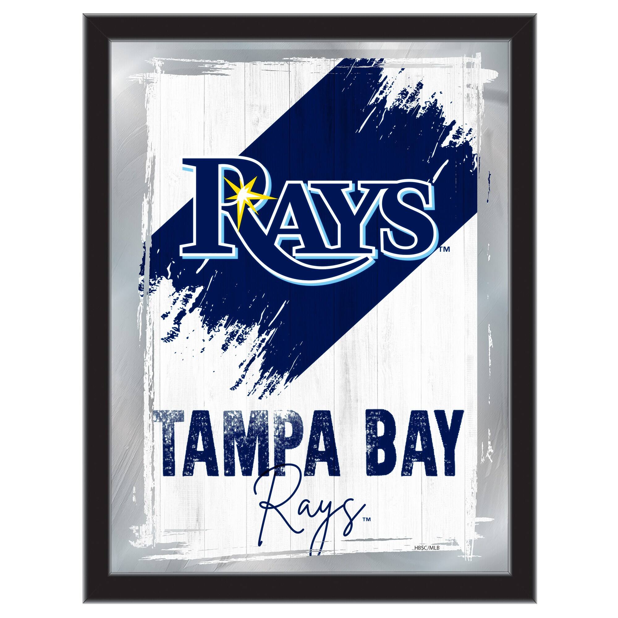 Tampa Bay Rays 17 x 22" Wall Mirror