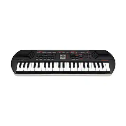 - S WR KC 24 BARI
Casio Tones