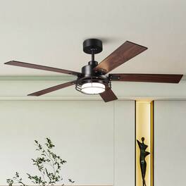 Parrot Uncle - 52" Industrial Metal Caged Ceiling Fan with Light and Remote - Black