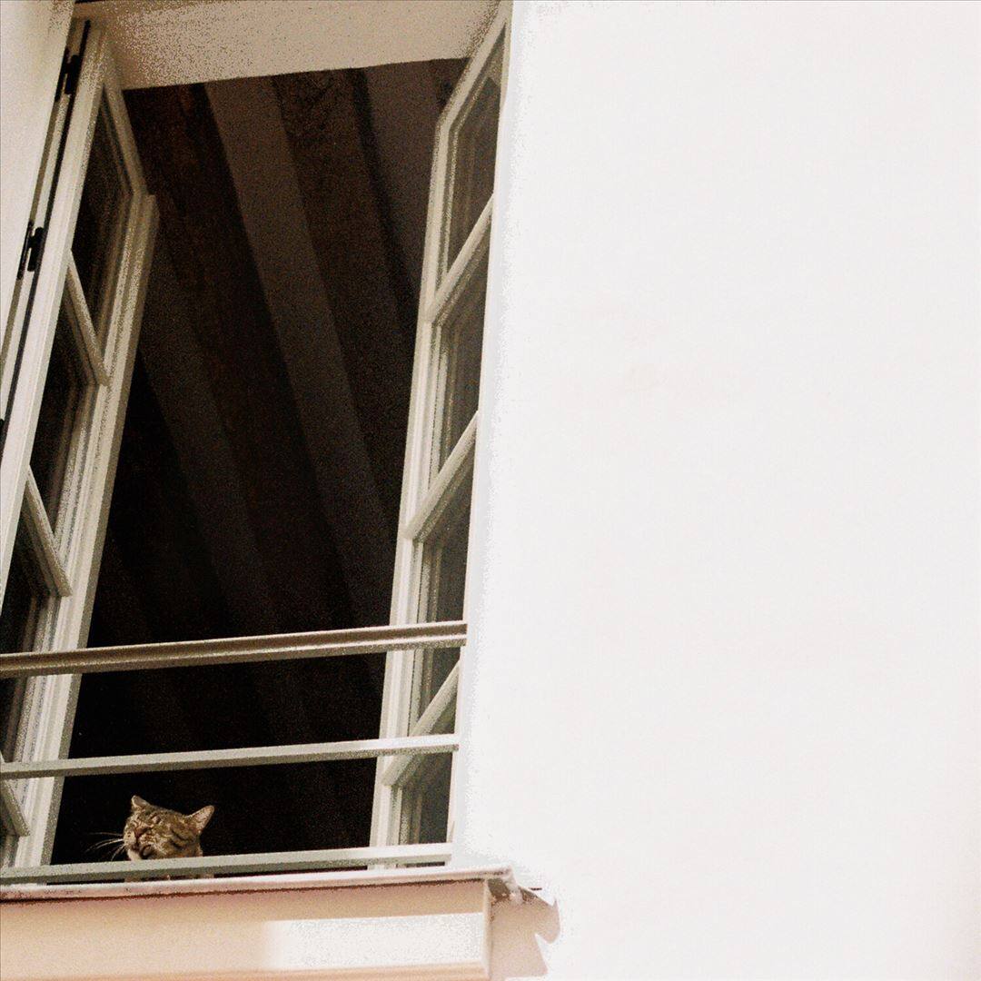 Front. Something Soft [LP].