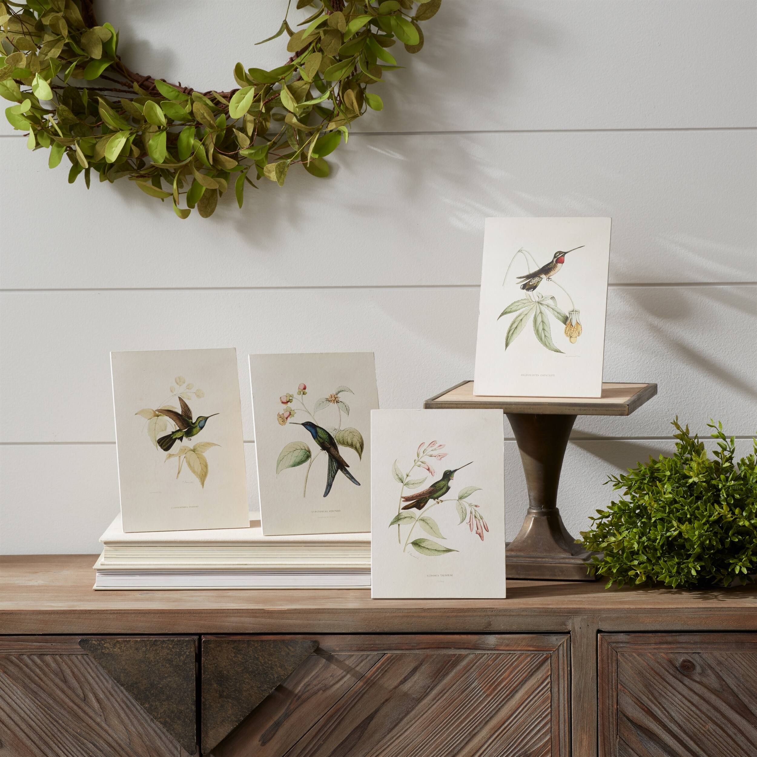 Angle. BreeBe - Tabletop Encyclopedia Hummingbird Print (Set of 4) - White, Green, Brown.