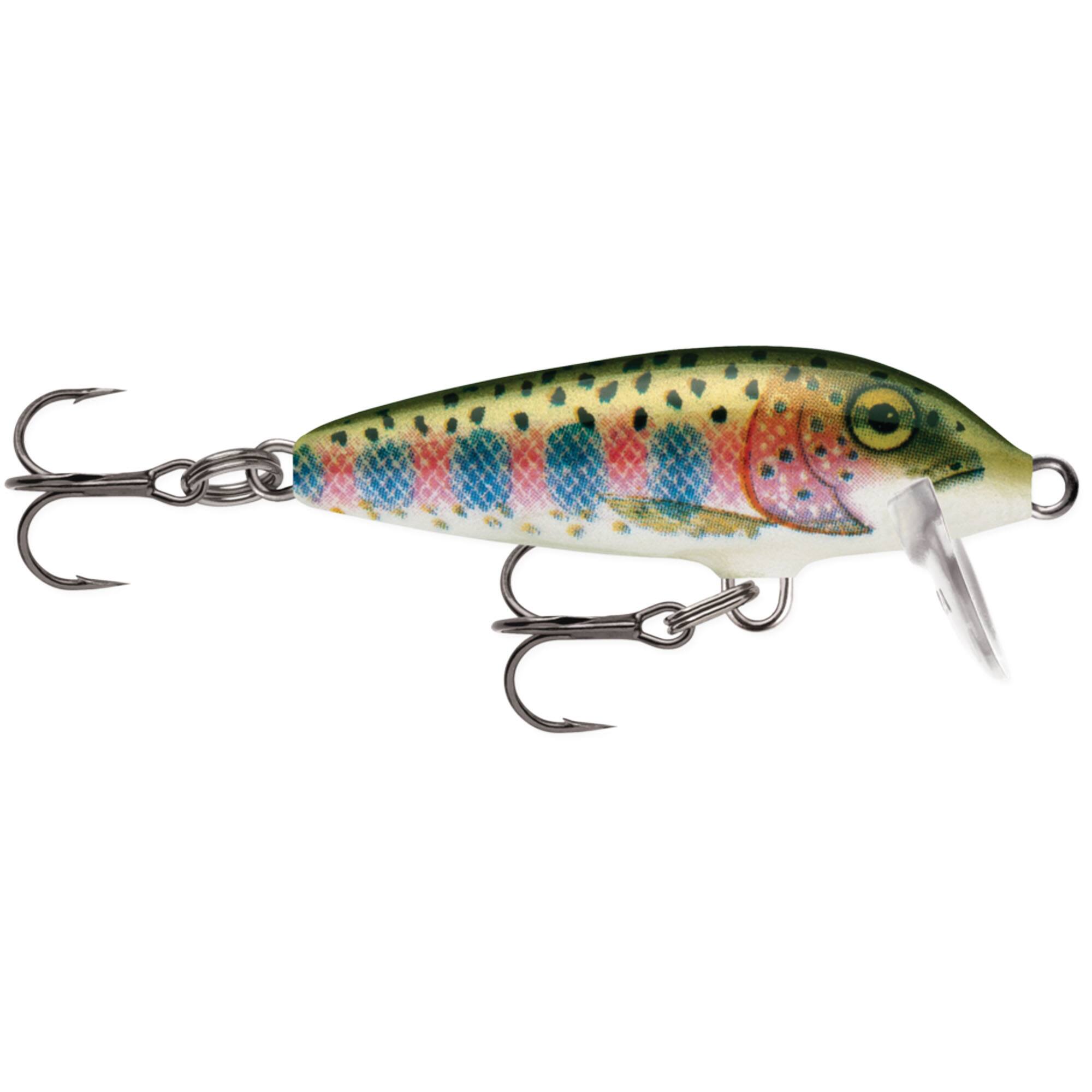 Rainbow Trout