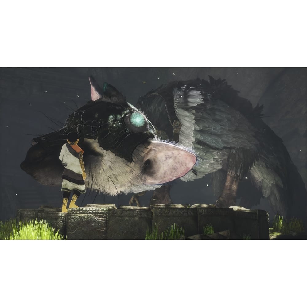 Here's What Is Inside The Last Guardian Collector's Edition