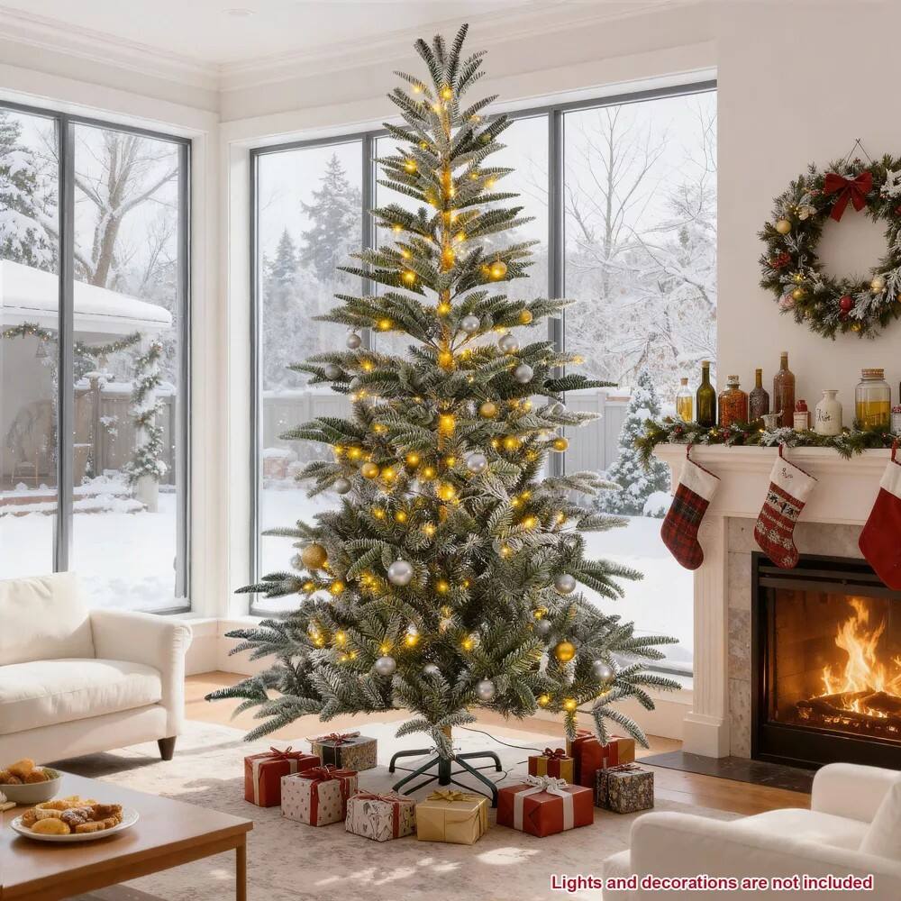 Lights and decorations are not included