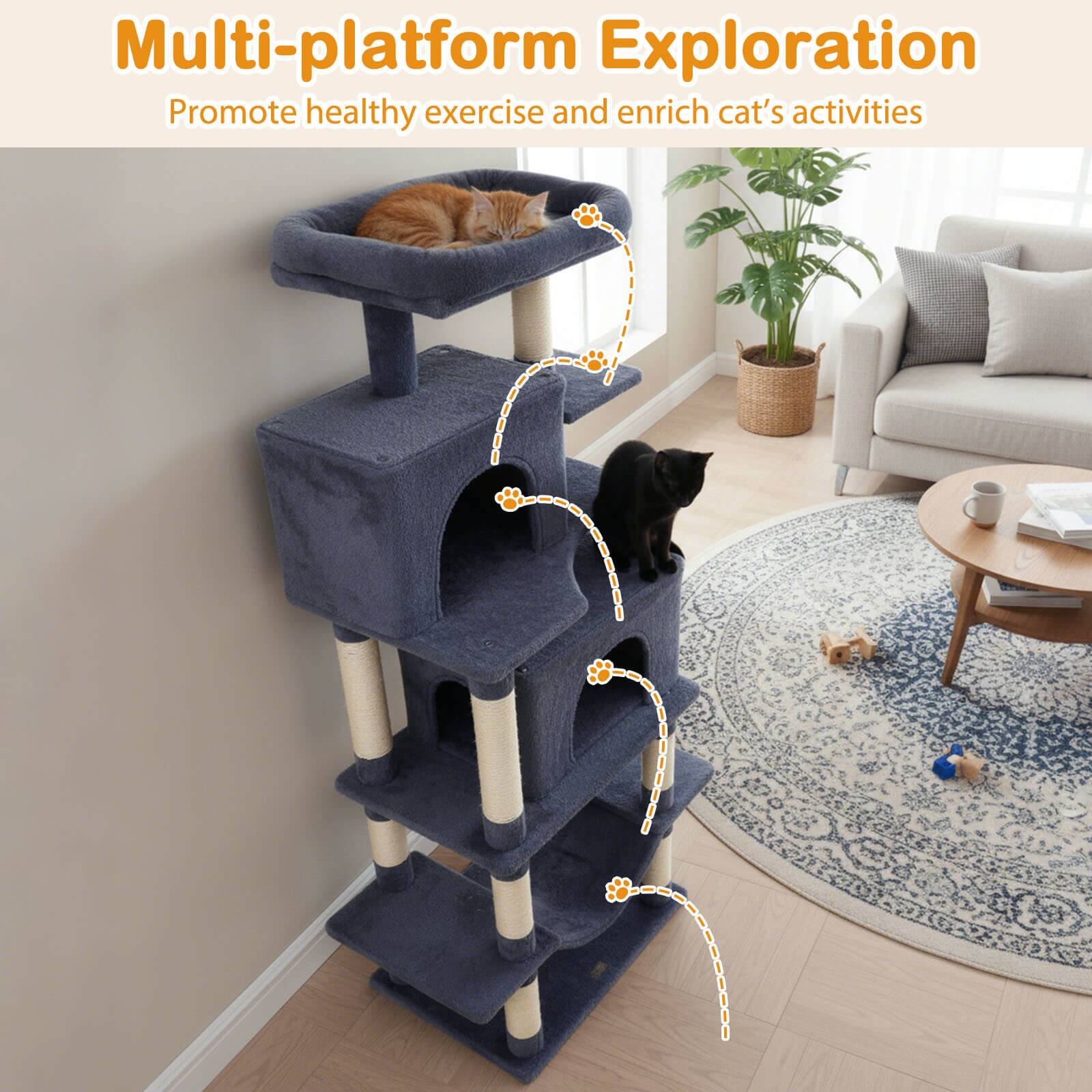 Multi-platform Exploration  
Promote healthy exercise and enrich cat's activities
