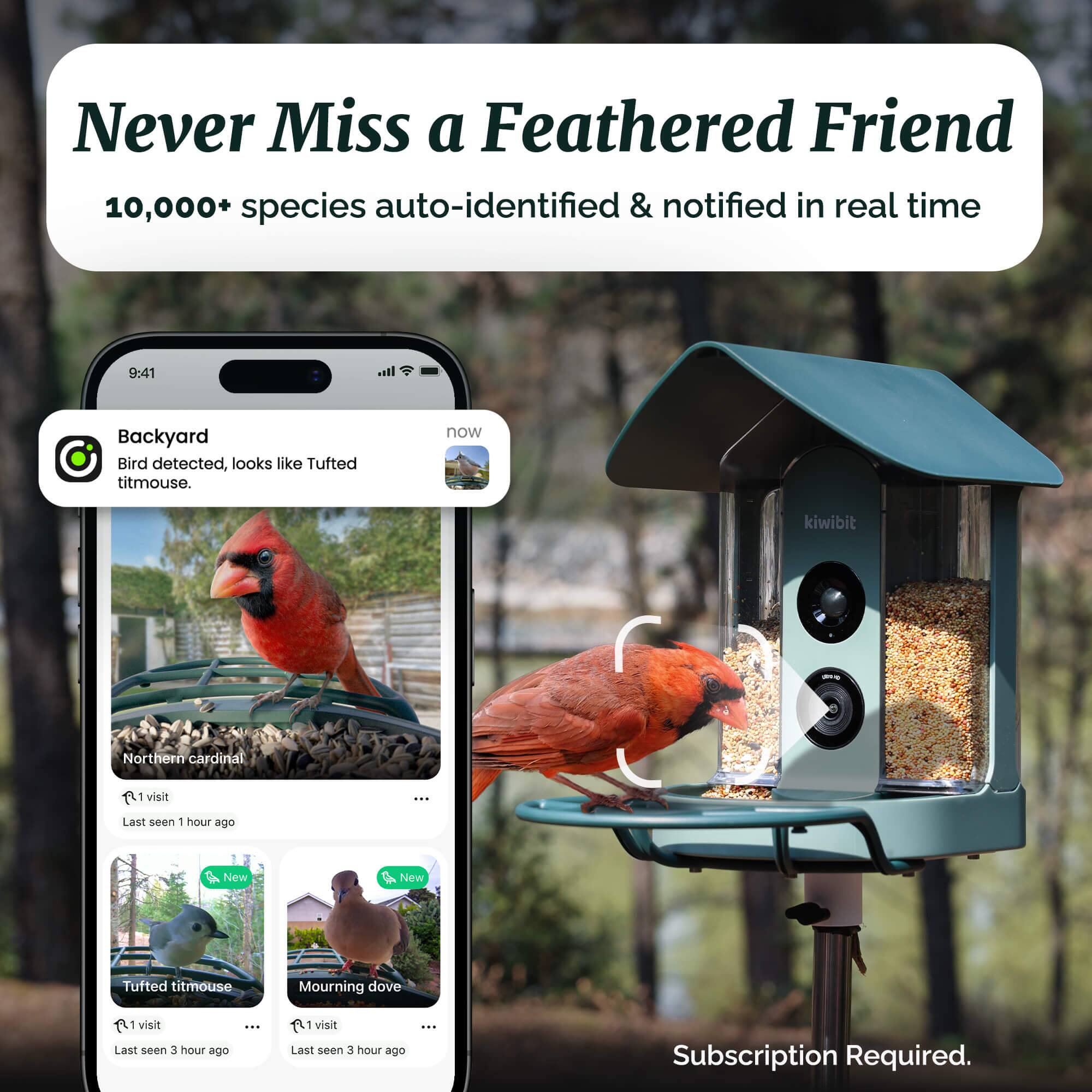 Never Miss a Feathered Friend  
10,000+ species auto-identified & notified in real time  

Backyard  
Bird detected, looks like Tufted titmouse.  
Northern cardinal  
1 visit  
Last seen 1 hour ago  

Tufted titmouse  
1 visit  
Last seen 3 hours ago  

Mourning dove  
1 visit  
Last seen 3 hours ago  

Subscription Required.