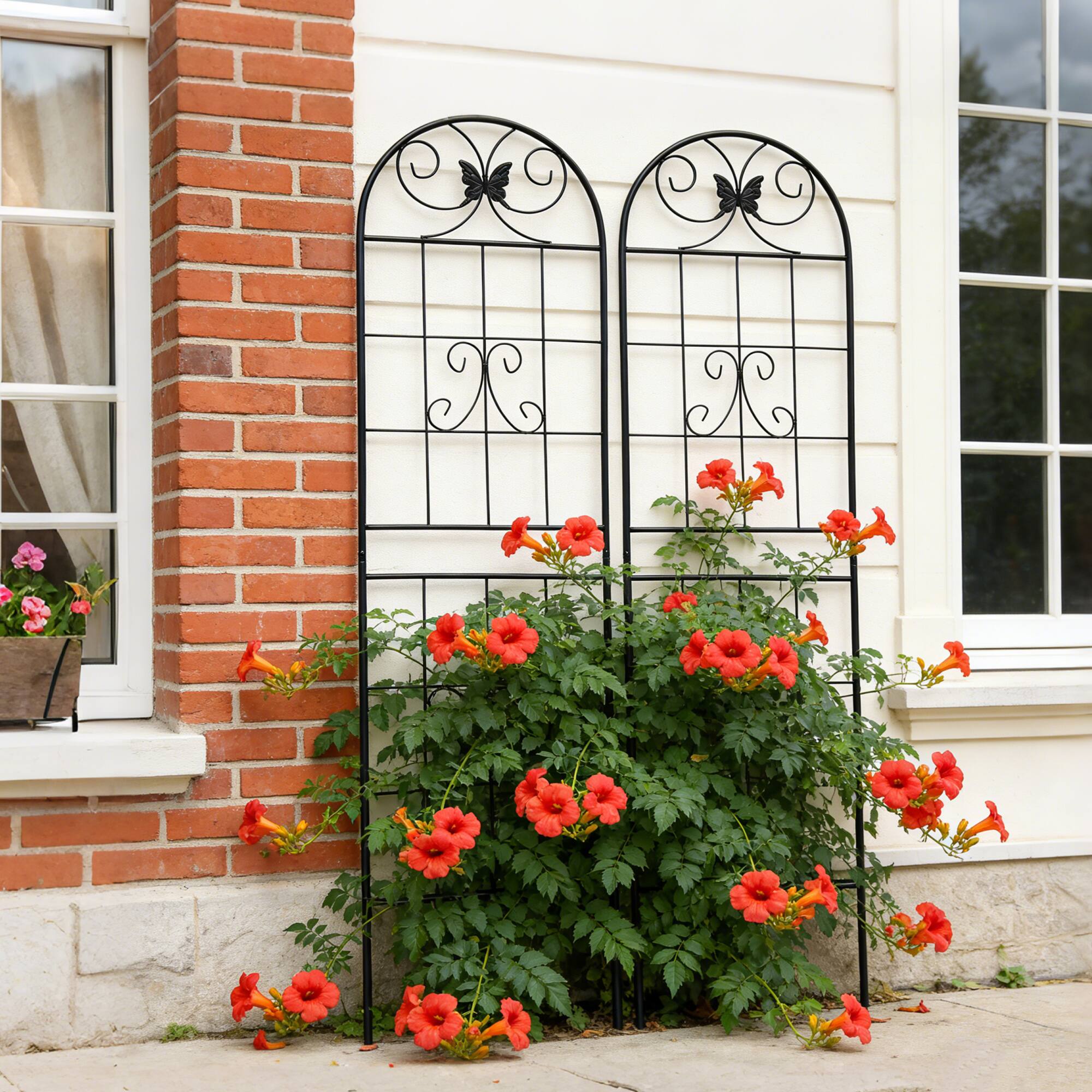 Alt View 2. Loheer - 2 Pack Rustproof Metal Garden Trellis 5.9 ft x 1.6 ft for Climbing Plants - Black.