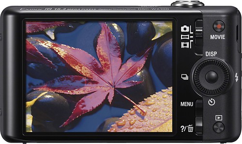 Best Buy: Sony Cyber-shot DSC-WX100 18.2-Megapixel Digital Camera 