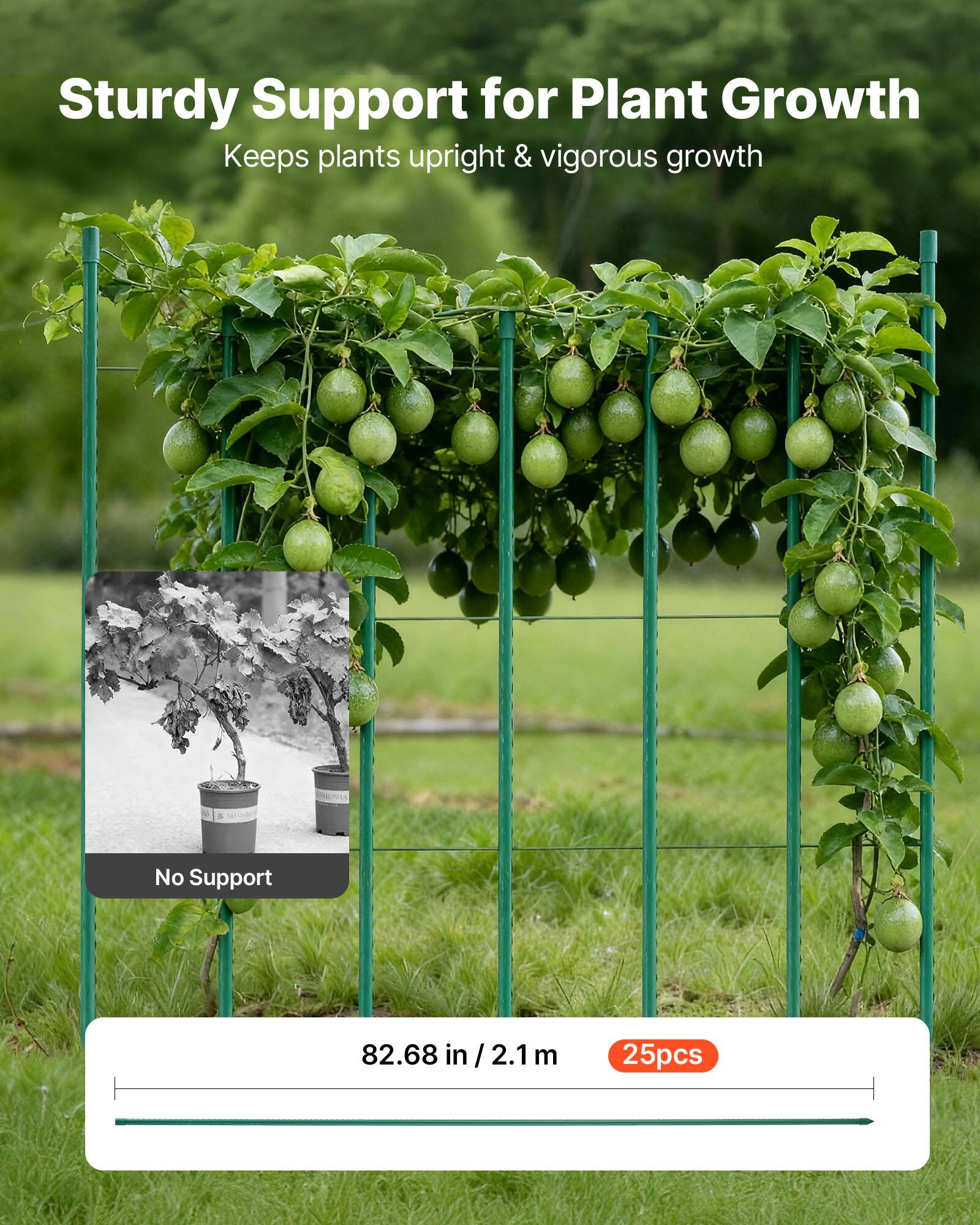 Sturdy Support for Plant Growth  
Keeps plants upright & vigorous growth  

No Support  

82.68 in / 2.1 m  

25pcs