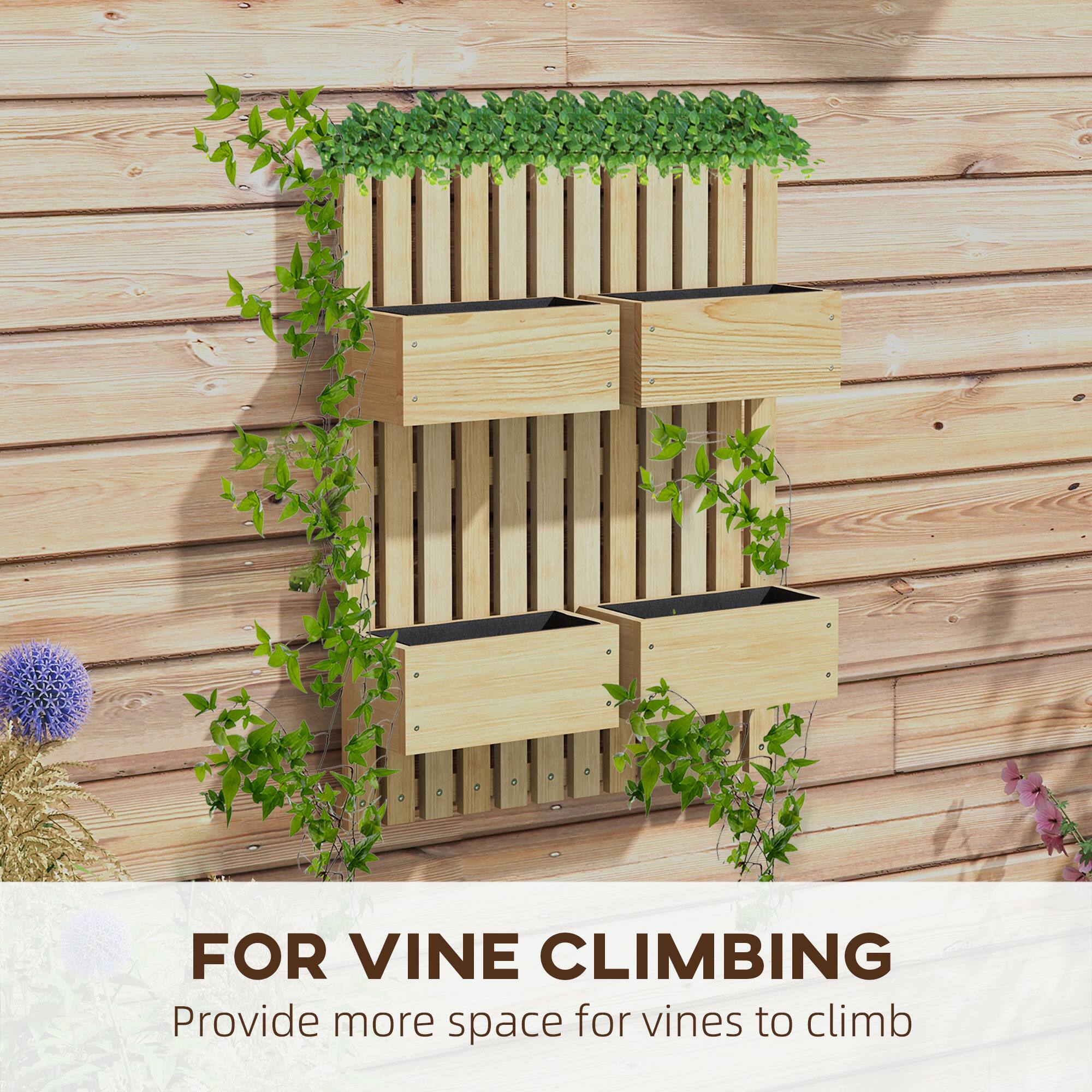 FOR VINE CLIMBING
Provide more space for vines to climb