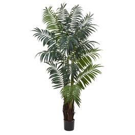 BreeBe - 7.5' Bulb Areca Palm Tree x 16 w/566 Lvs - Green