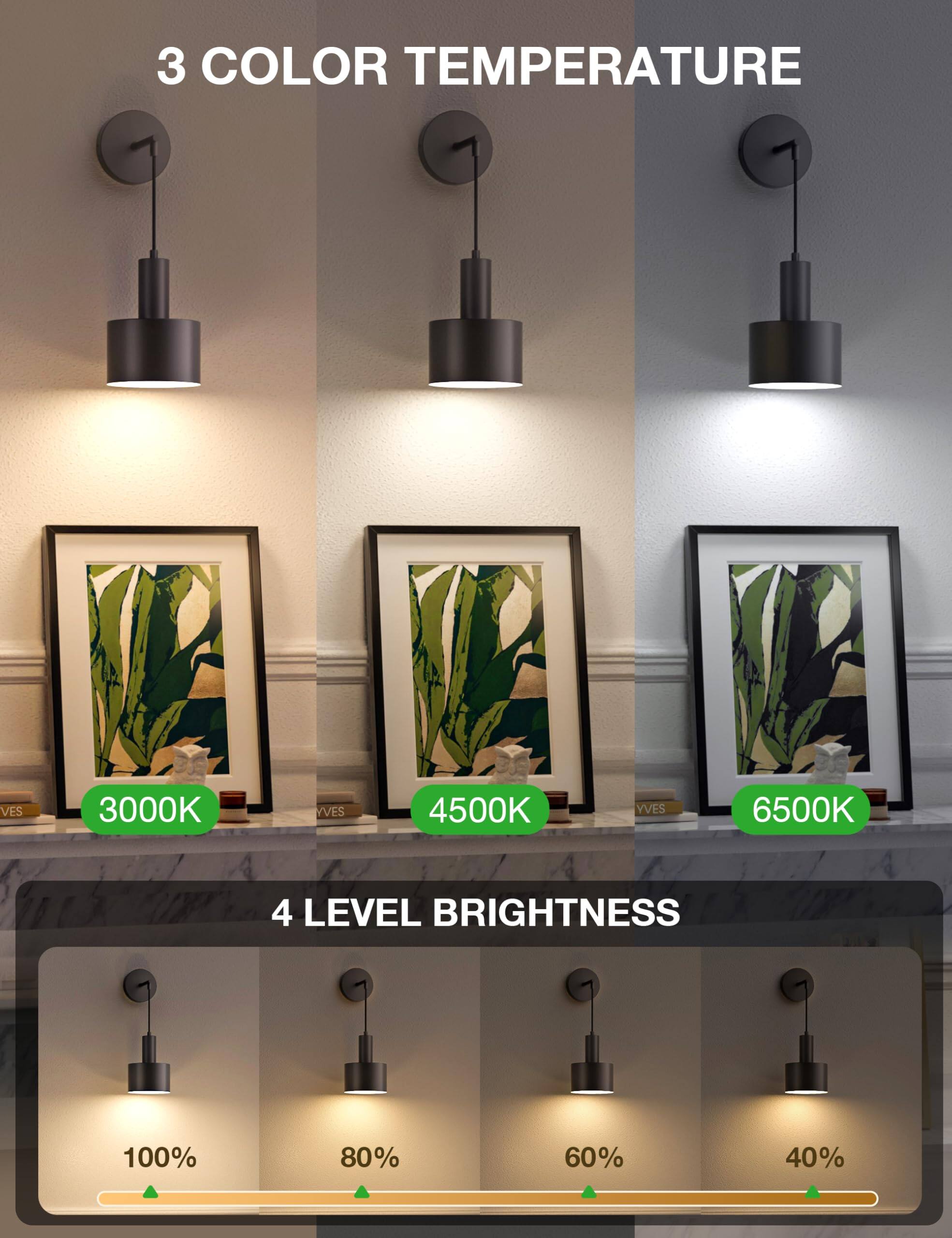 3 COLOR TEMPERATURE  
3000K 4500K 6500K  

4 LEVEL BRIGHTNESS  
100% 80% 60% 40%
