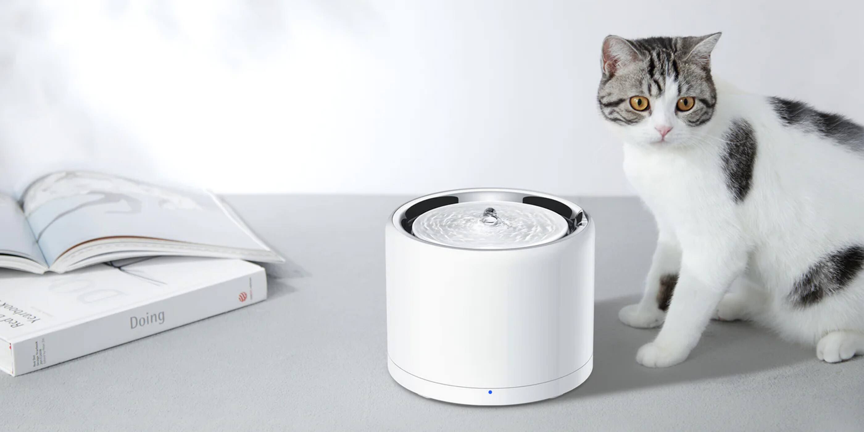 The image features a cat sitting next to a white appliance, possibly a blender or a coffee maker. The cat is looking at the camera, while the appliance is placed on a table. There is also a book nearby, which might be a cookbook or a reference material for the appliance.