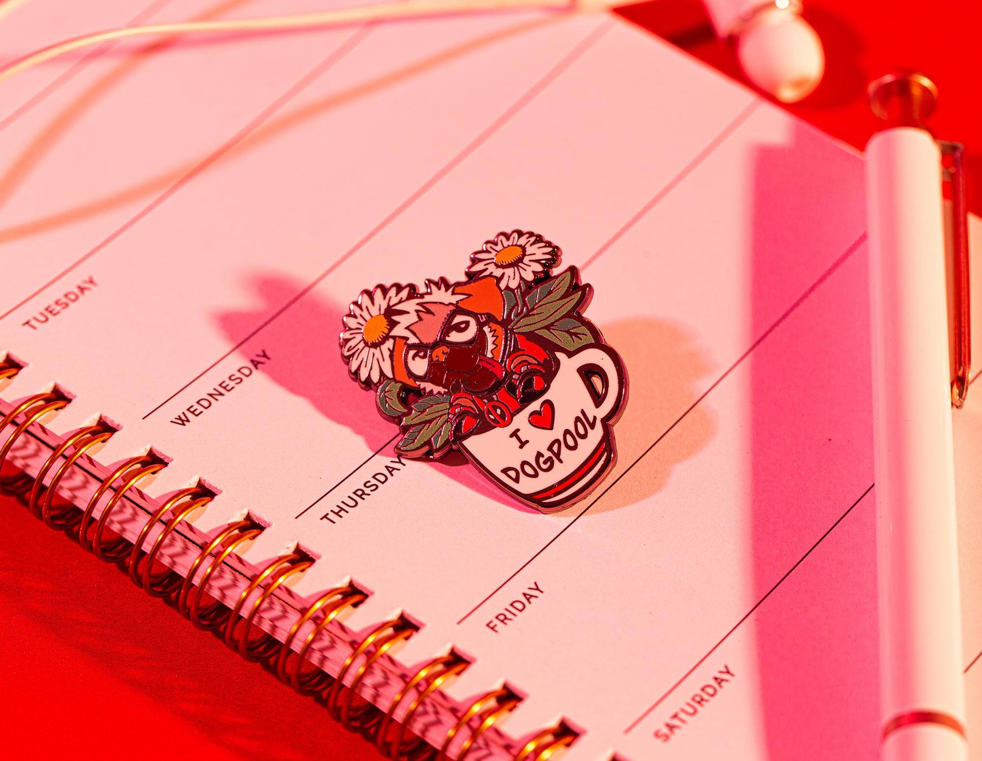 TUESDAY  
WEDNESDAY  
THURSDAY  
FRIDAY  
SATURDAY