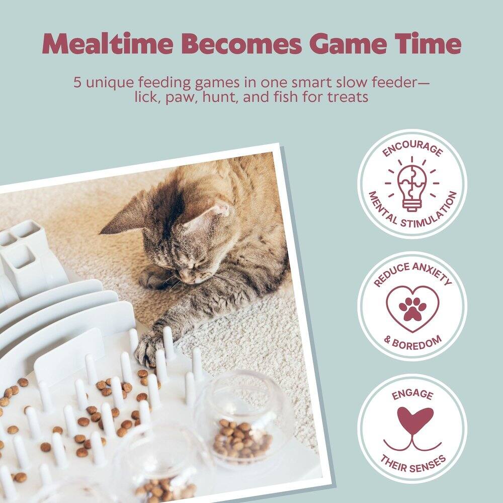 Mealtime Becomes Game Time

5 unique feeding games in one smart slow feeder—lick, paw, hunt, and fish for treats

- ENCOURAGE MENTAL STIMULATION
- REDUCE ANXIETY & BOREDOM
- ENGAGE THEIR SENSES