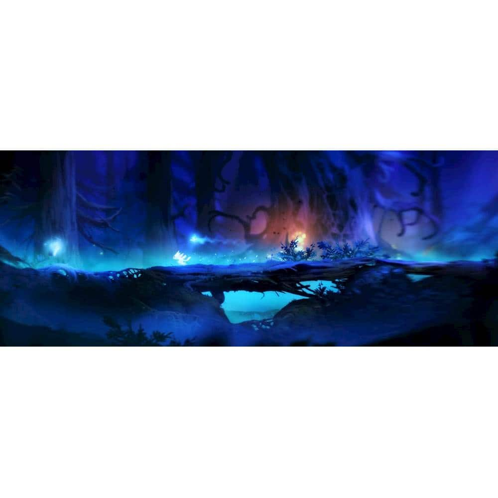  Ori and the Blind Forest: Definitive Edition - Xbox