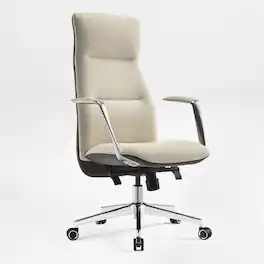 Eureka Ergonomic - Ergonomic Executive Office Chair with Lumbar Support & High Back Support - Off-white